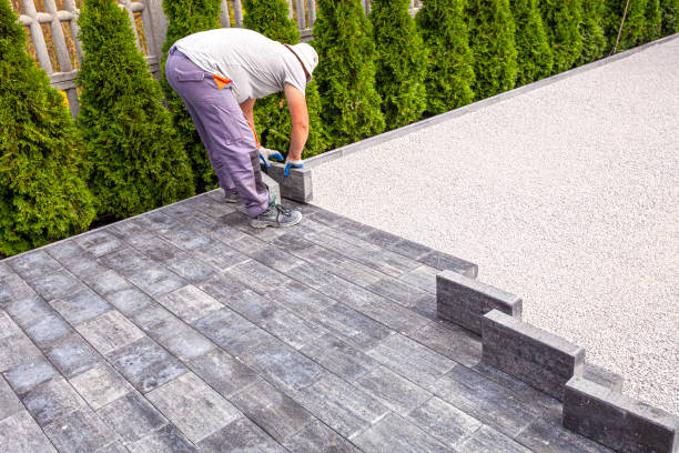 Best Local Driveway Pavers  in Panorama Village, TX